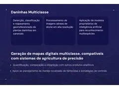Identificação de plantas em nível de espécie - 3