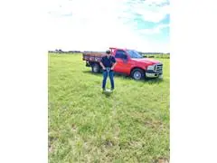 MAPEAMENTO DE COMPACTAÇÃO DO SOLO - 1