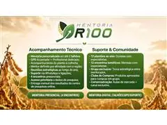 A Raiz da Solução - 0