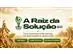 A Raiz da Solução - 1
