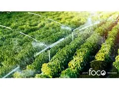 Consultoria de Irrigação - FOCO - 0