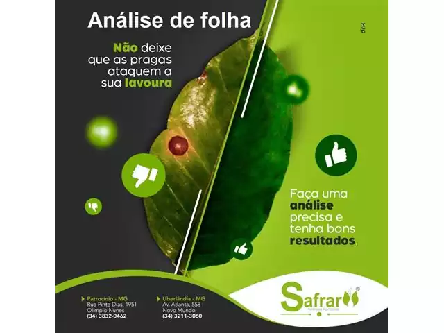 Analise Foliar - Safrar