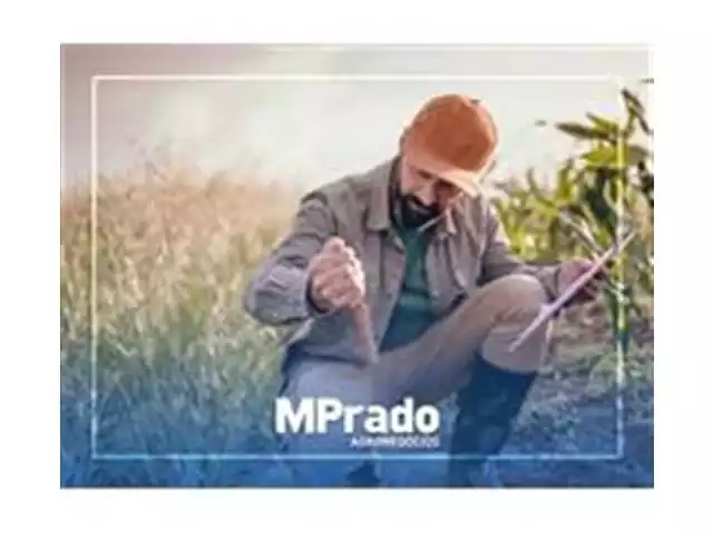 Consultoria Personalizada - MPrado