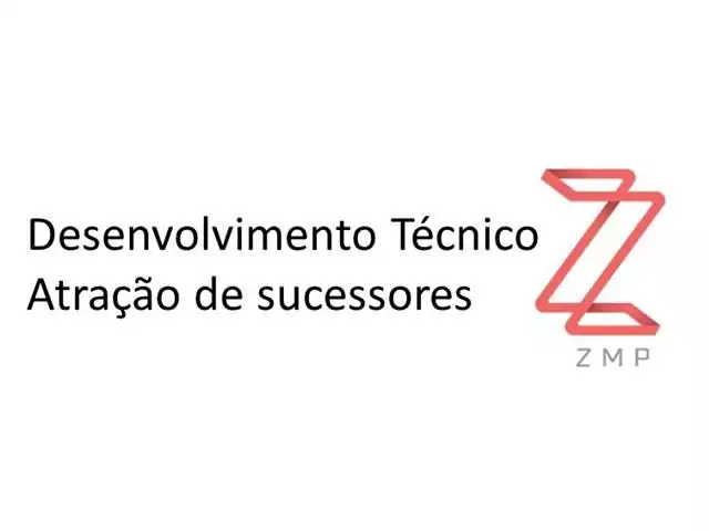 Levantamento técnicas e modelo de atração para sucessores - ZMP Inteli