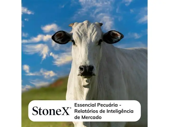 Relatórios para o Mercado de Pecuária - StoneX