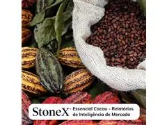 Relatórios para o Mercado de Cacau - StoneX