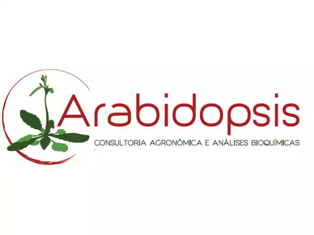 Agroespecialista - Essione Ribeiro