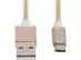 Cabo com Conector Philips Tipo USB para Micro USB Dourado 120CM - 1