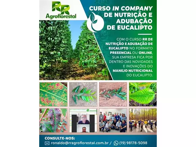 Curso de Produção de Mudas de Eucalipto - RR AGROFLORESTAL