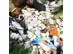 Brinquedo Multilaser PET PP141 Aminguinhos Animais Urso - 2