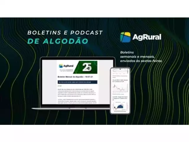 Boletim Algodão - AgRural