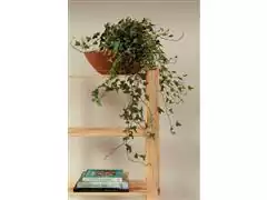 Estante Tramontina Modulare em Madeira Pinus com 2 Prateleiras - 3